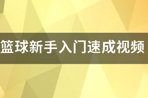 篮球训练视频教学零基础